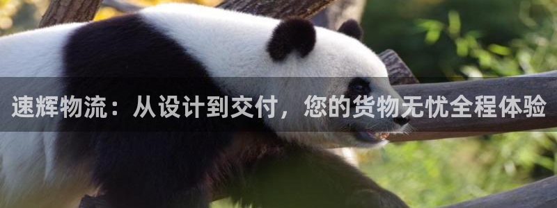 狗子28注册过了警察知道吗：速辉物流