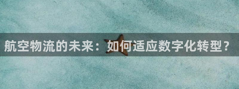 狗子28自行车图片：航空物流的未来：