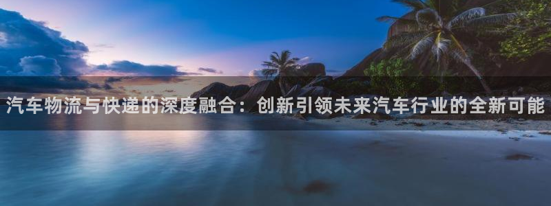狗子28充值不处理怎么办：汽车物流与
