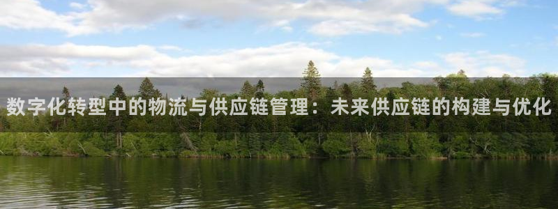 狗子28现在狂杀：数字化转型中的物流