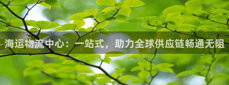 狗子28注册教程：海运物流中心：一站