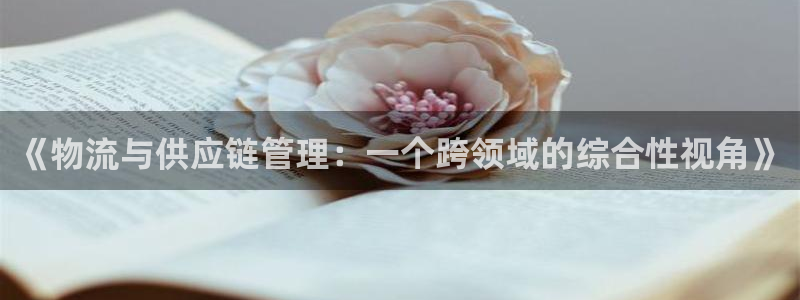 狗子28pg麻将胡了：《物流与供应链