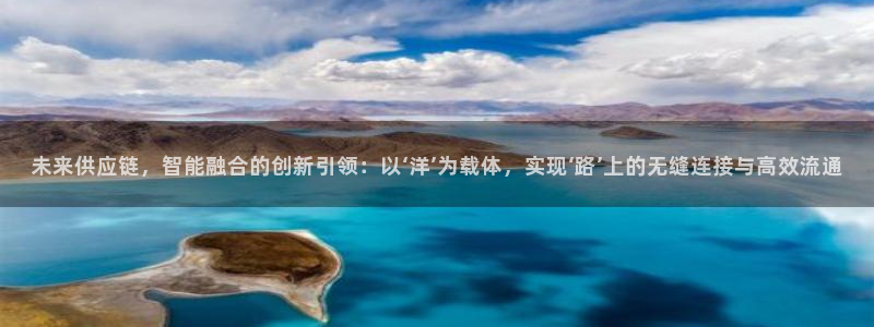 狗子28官方官网：未来供应链，智能融