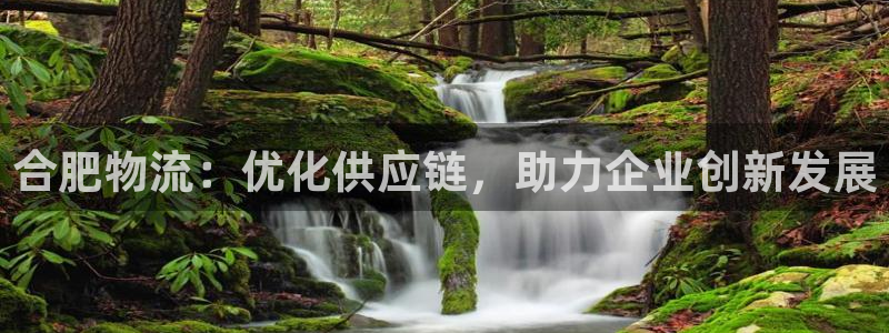 狗子28怎么下载：合肥物流：优化供应