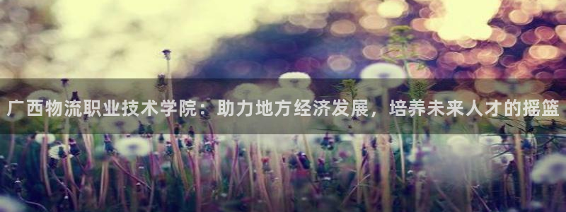 狗子28加拿大app预测：广西物流职