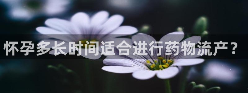 狗子28是什么软件：怀孕多长时间适合