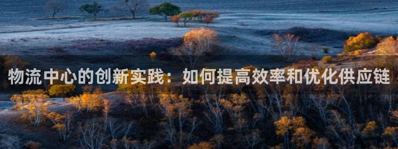 狗子28登录：物流中心的创新实践：如