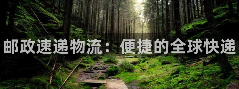 狗子28游戏官网版：邮政速递物流：便捷的全球快递
