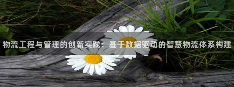 狗子28连接：物流工程与管理的创新实践：基于数据驱动的智慧物