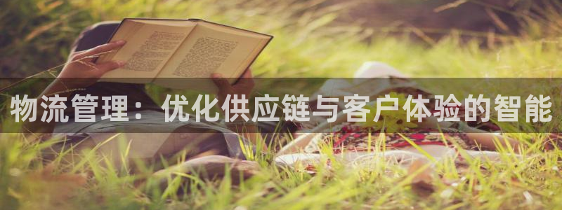 狗子28登录：物流管理：优化供应链与