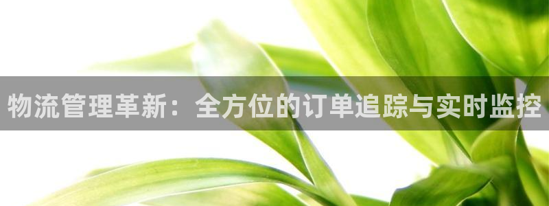 狗子28加拿大走势