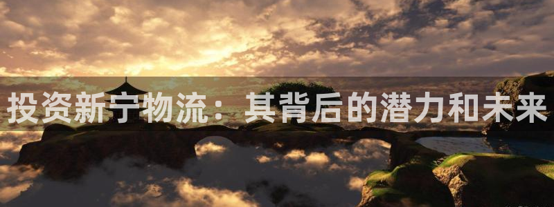 狗子28官网注册：投资新宁物流：其背