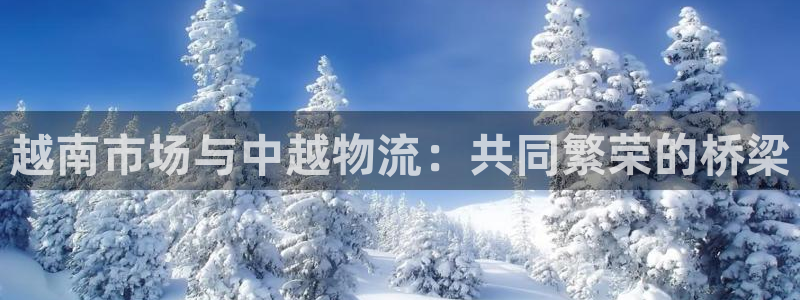 狗子28取保：越南市场与中越物流：共