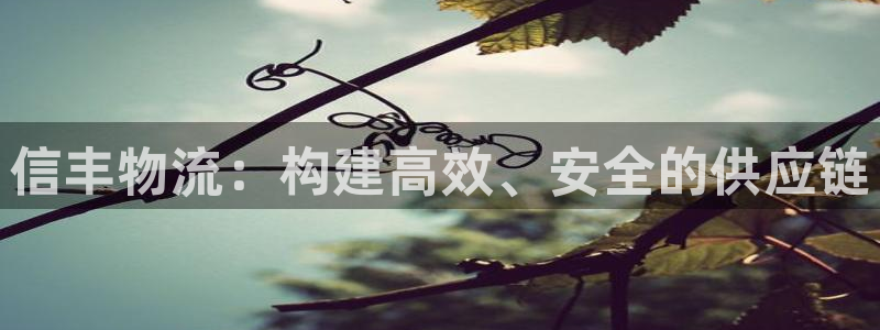 狗子28大舞台：信丰物流：构建高效、