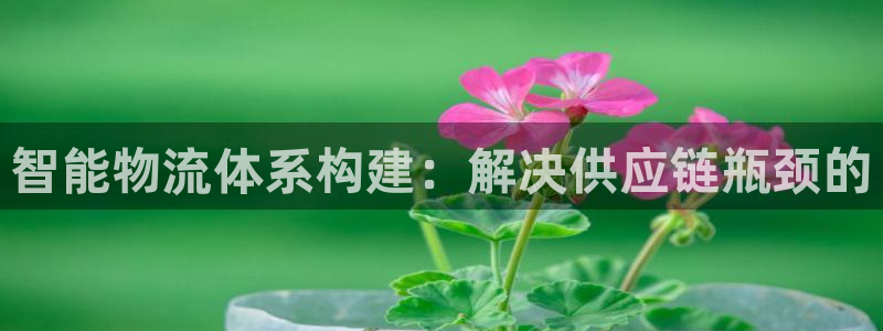 狗子28登陆网：智能物流体系构建：解