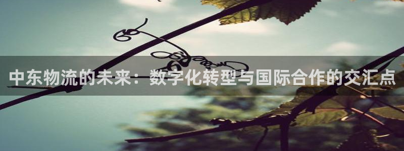 狗子28软件：中东物流的未来：数字化