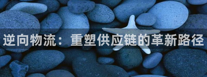 狗子28pg麻将胡了2老是空转：逆向