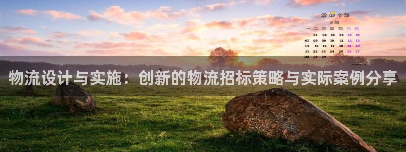 狗子28加拿大能提现吗：物流设计与实