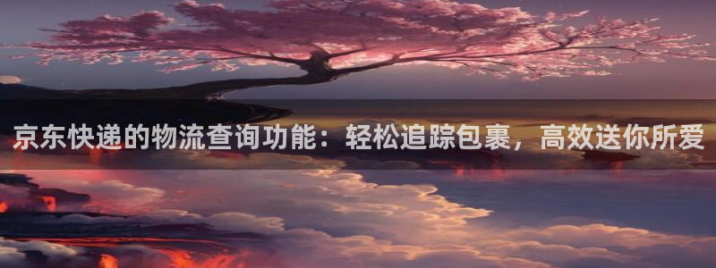 狗子28最稳打法：京东快递的物流查询
