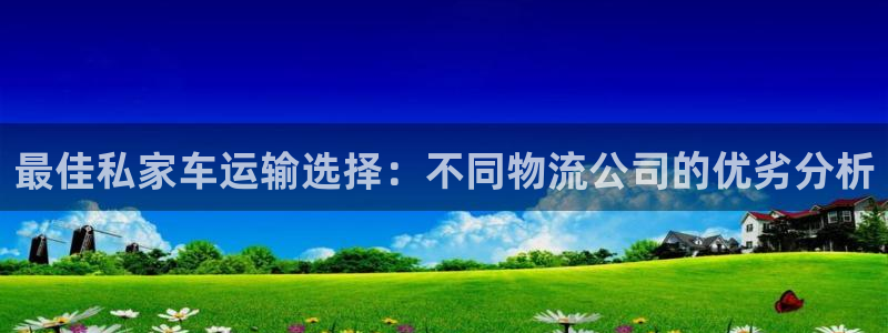 狗子28官网下载链接：最佳私家车运输