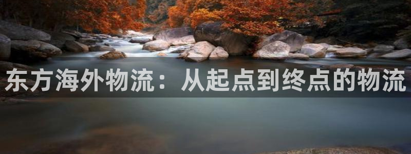 狗子28能不能退：东方海外物流：从起