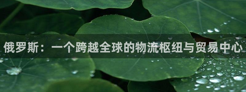 狗子28不给提现：俄罗斯：一个跨越全