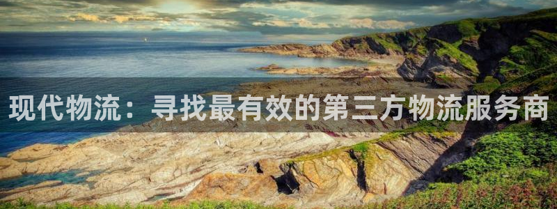 狗子28充值金额随便：现代物流：寻找