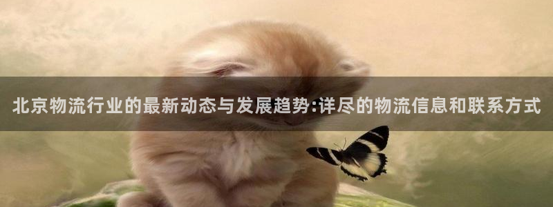 狗子28网站平台：北京物流行业的最新