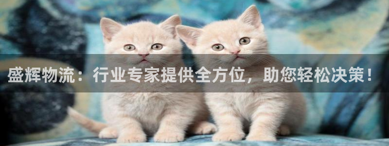 狗子28官方网站是多少