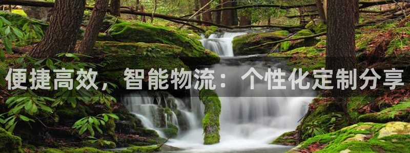 狗子28官网平台下载